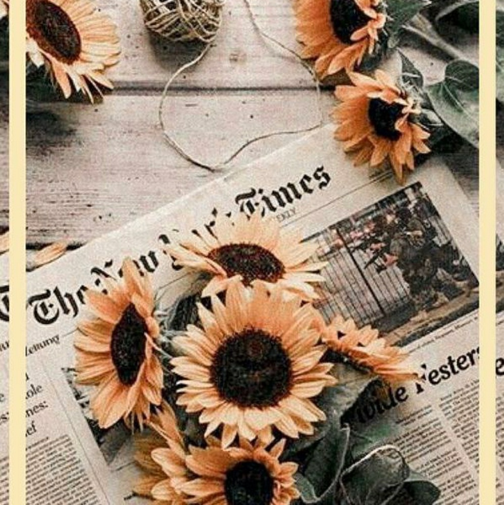 Meet your Posher, Ashlee